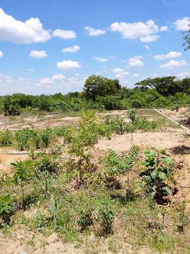 Property Thumbnail